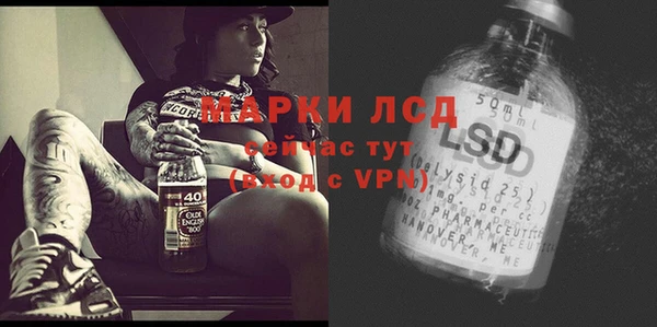 прущие грибы Богородицк