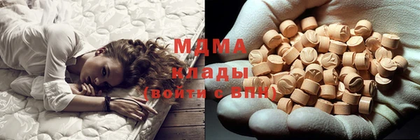 индика Богородск