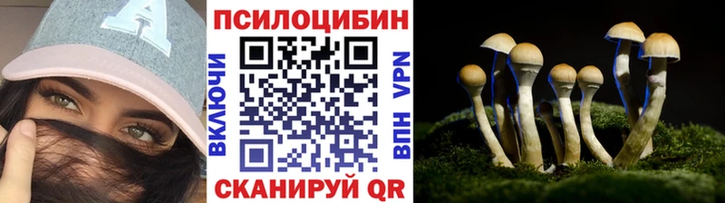 Купить где  Усть-Кут  Галлюциногенные грибы GOLDEN TEACHER 